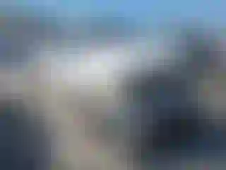 Vehicle Image- 2011 Ford F-150