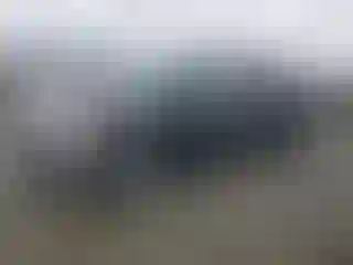 Vehicle Image- 2011 Ford F-150