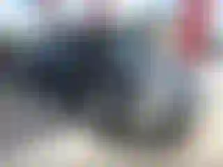 Vehicle Image- 2013 Ford F-150