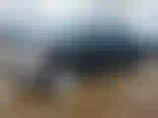 Vehicle Image- 2013 Ford F-150