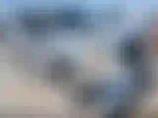 Vehicle Image- 2011 Ford F-150