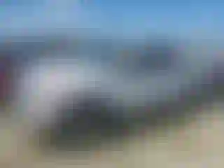 Vehicle Image- 2012 Ford F-150