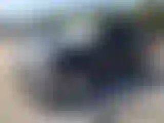 Vehicle Image- 2013 Ford F-150