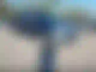 Vehicle Image- 2013 Ford F-150