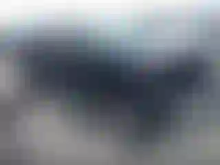 Vehicle Image- 2014 Ford F-150