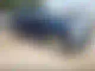 Vehicle Image- 2014 Ford F-150