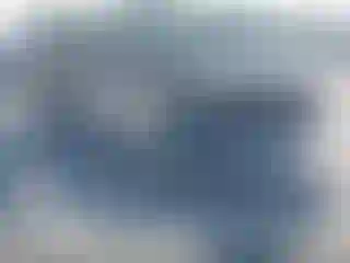 Vehicle Image- 2010 Ford F-150