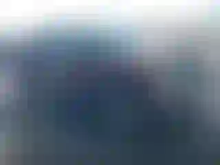 Vehicle Image- 2010 Ford F-150