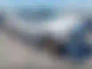 Vehicle Image- 2010 Ford F-150