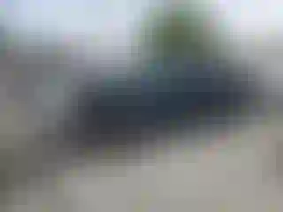 Vehicle Image- 2010 Ford F-150