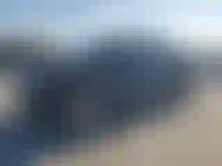 Vehicle Image- 2010 Ford F-150