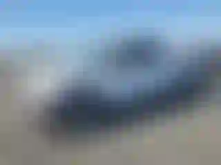 Vehicle Image- 2020 Ford F-150