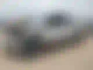 Vehicle Image- 2022 Ford F-150