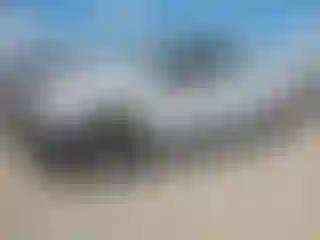 Vehicle Image- 2019 Ford F-150