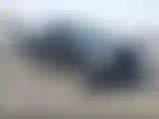 Vehicle Image- 2020 Ford F-150