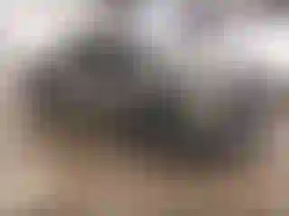 Vehicle Image- 2021 Ford F-150