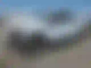 Vehicle Image- 2021 Ford F-150