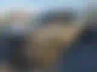 Vehicle Image- 2021 Ford F-150