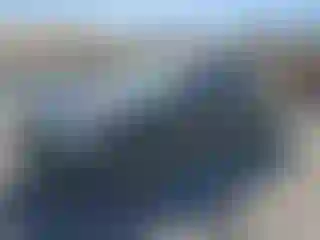 Vehicle Image- 2013 Ford F-150