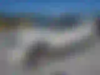 Vehicle Image- 2011 Ford F-150