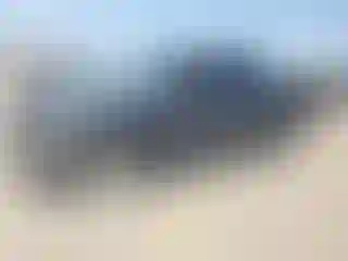 Vehicle Image- 2022 Ford F-150