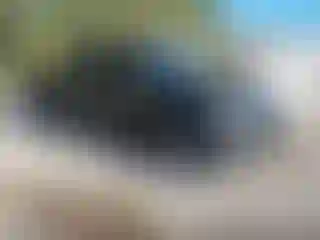 Vehicle Image- 2021 Ford F-150