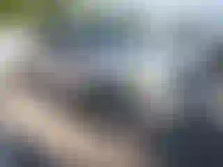 Vehicle Image- 2010 Ford F-150