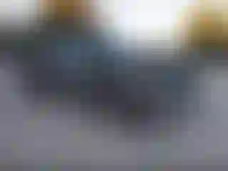 Vehicle Image- 2022 Ford F-150