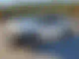 Vehicle Image- 2014 Ford F-150