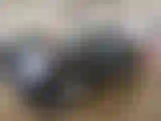 Vehicle Image- 2014 Ford F-150