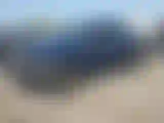 Vehicle Image- 2014 Ford F-150