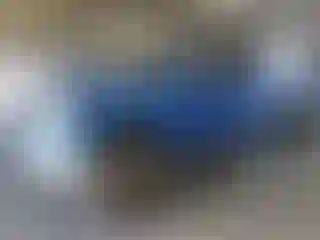 Vehicle Image- 2013 Ford F-150