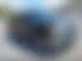 Vehicle Image- 2013 Ford F-150