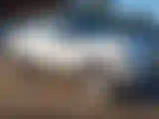 Vehicle Image- 2014 Ford F-150