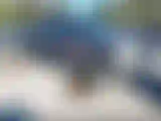 Vehicle Image- 2014 Ford F-150