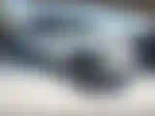 Vehicle Image- 2011 Ford F-150