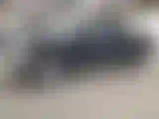 Vehicle Image- 2013 Ford F-150