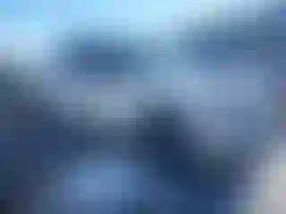 Vehicle Image- 2014 Ford F-150