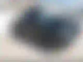 Vehicle Image- 2014 Ford F-150