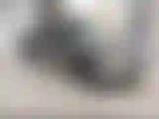 Vehicle Image- 2013 Ford F-150