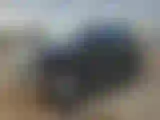 Vehicle Image- 2014 Ford F-150