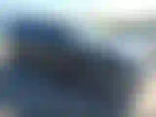 Vehicle Image- 2014 Ford F-150