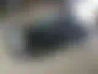 Vehicle Image- 2011 Ford F-150