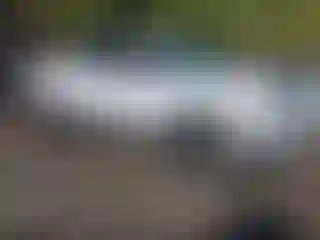 Vehicle Image- 2012 Ford F-150