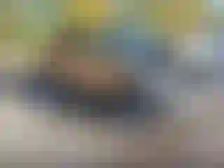 Vehicle Image- 2013 Ford F-150