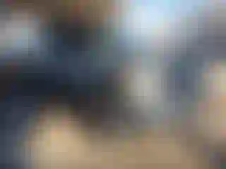 Vehicle Image- 2013 Ford F-150