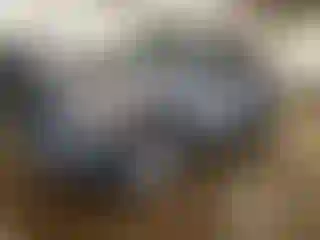 Vehicle Image- 2016 Ford F-150