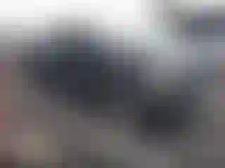 Vehicle Image- 2015 Ford F-150