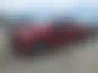 Vehicle Image- 2016 Ford F-150