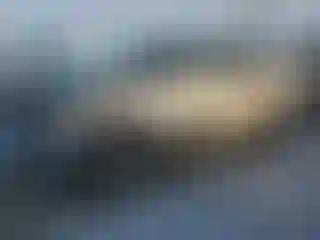 Vehicle Image- 2011 Ford F-150